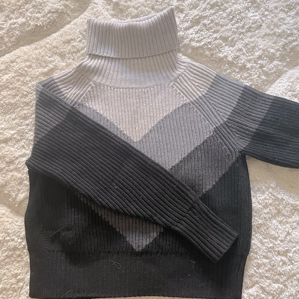 Wilfred Turtleneck Sweater (XS)